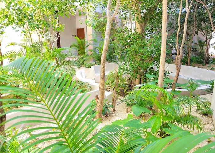 Renta Depa 1 Hab En La Veleta Apartment Tulum